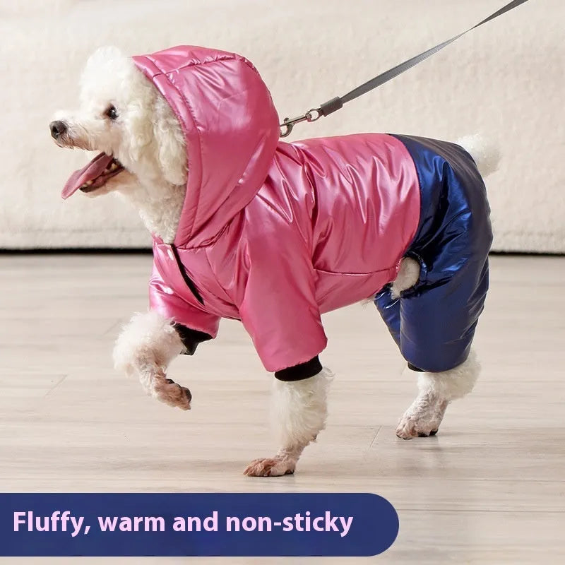 Green waterproof dog winter coat with four-leg design on medium-sized dog