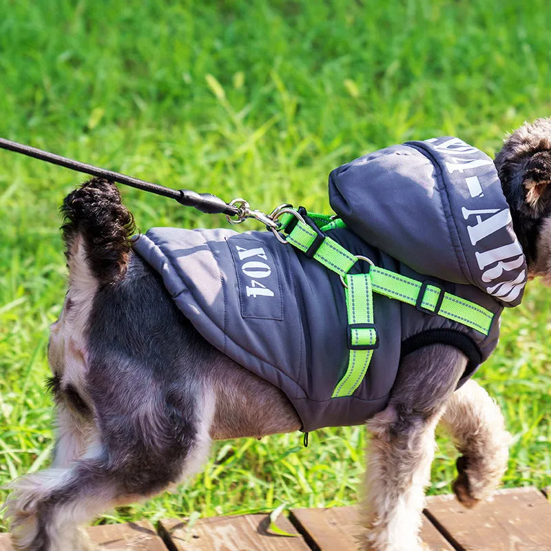 Red fleece-lined waterproof dog jacket with hood on a dog, showing casual style.