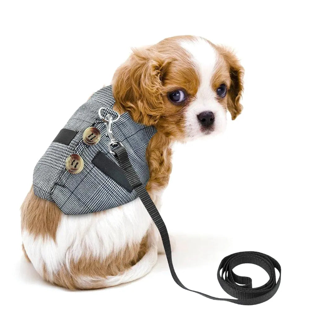 Grey cloth rabbit leash with dress in three sizes S M L chest strap