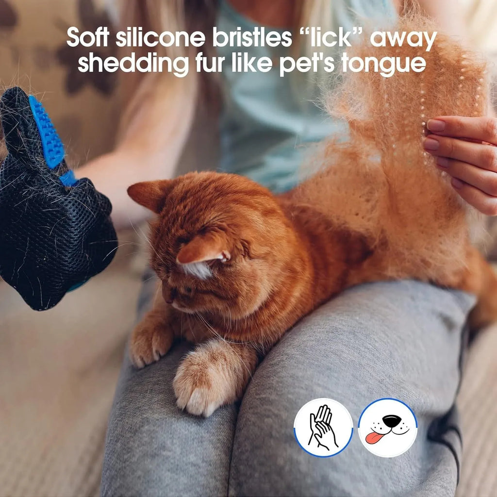 Blue silicone pet grooming gloves with multiple tips for brushing dogs, cats, or horses.