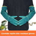 A pair of dark green, long-cuff leather animal handling gloves with a cotton lining for bite and scratch protection.