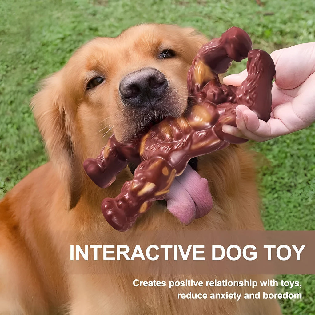 Scarlet nylon dog chew toy with beef flavour measuring 10.7cm by 17.2cm by 5cm