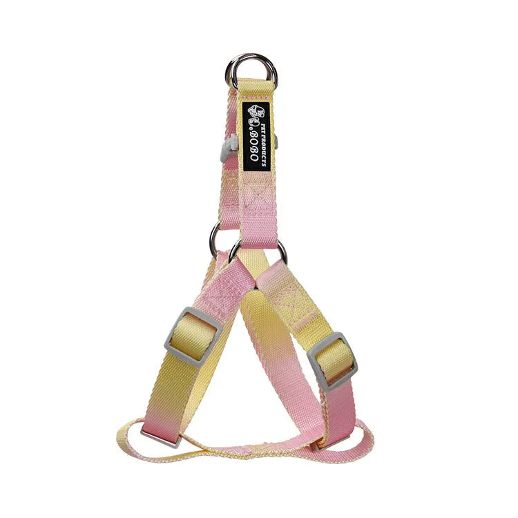 Nylon dog leash set with collar and harness in a pink and blue gradient colour.