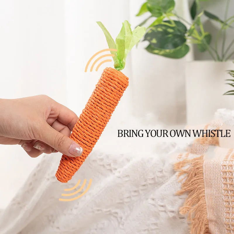 Cat toy set with plastic biting rings, textured grinding sticks, paper carrots, and extended play sticks