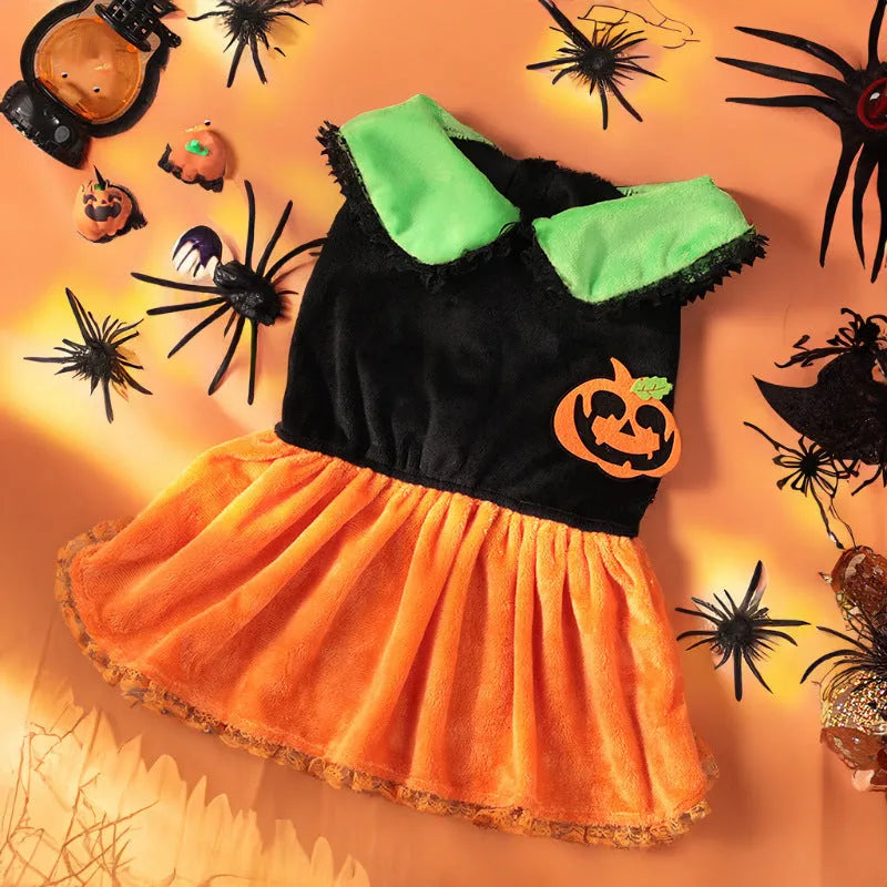 Halloween pumpkin skirt costume on a small dog made from crystal velvet fabric