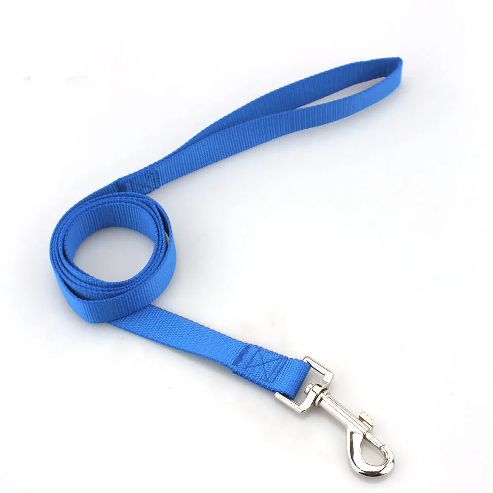 Solid colour polyester dog lead with hand-holding rope design shown in blue colour option