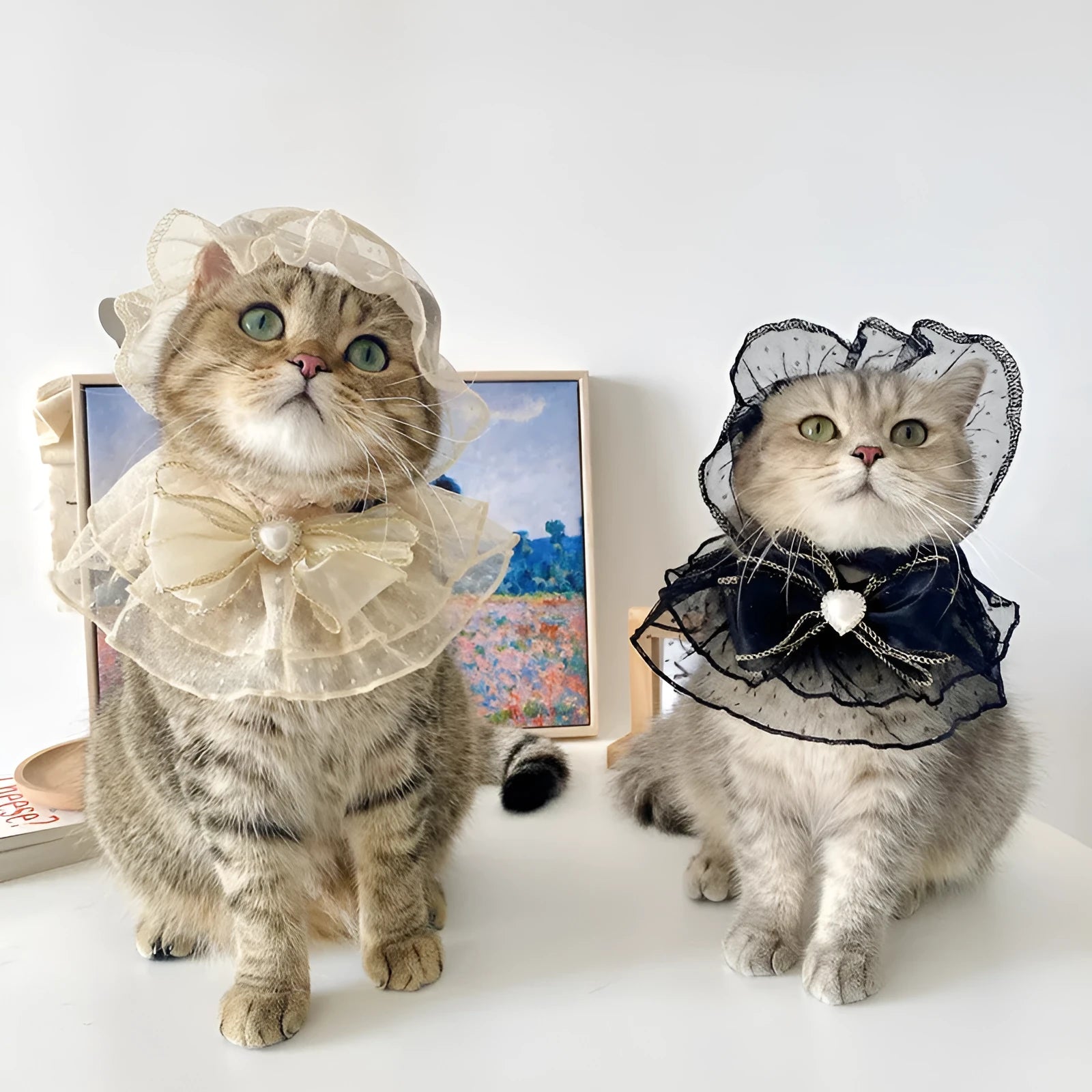 Off white mesh lace pet hat and bib set for cats and dogs princess style