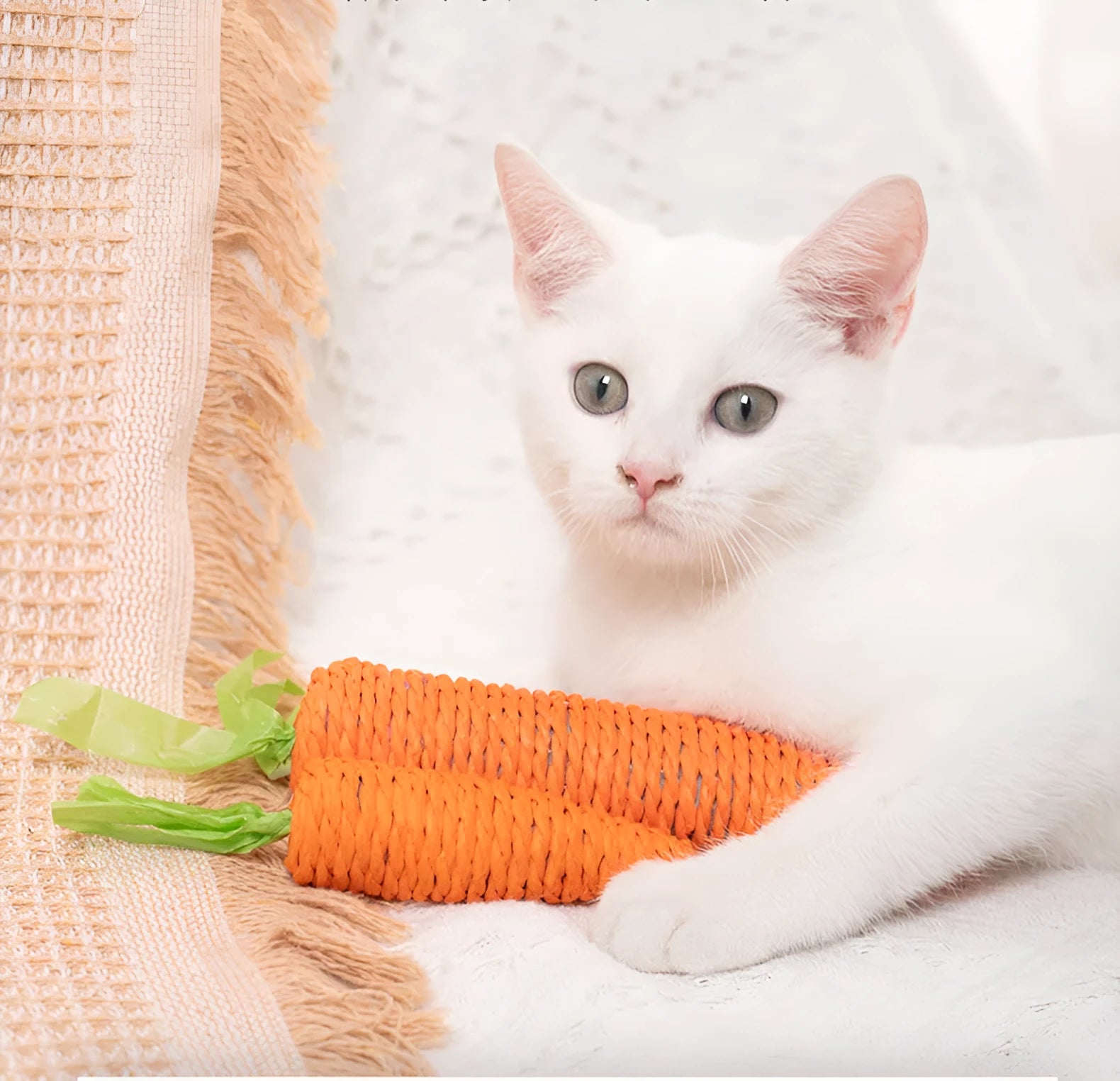 Cat toy set with plastic biting rings, textured grinding sticks, paper carrots, and extended play sticks