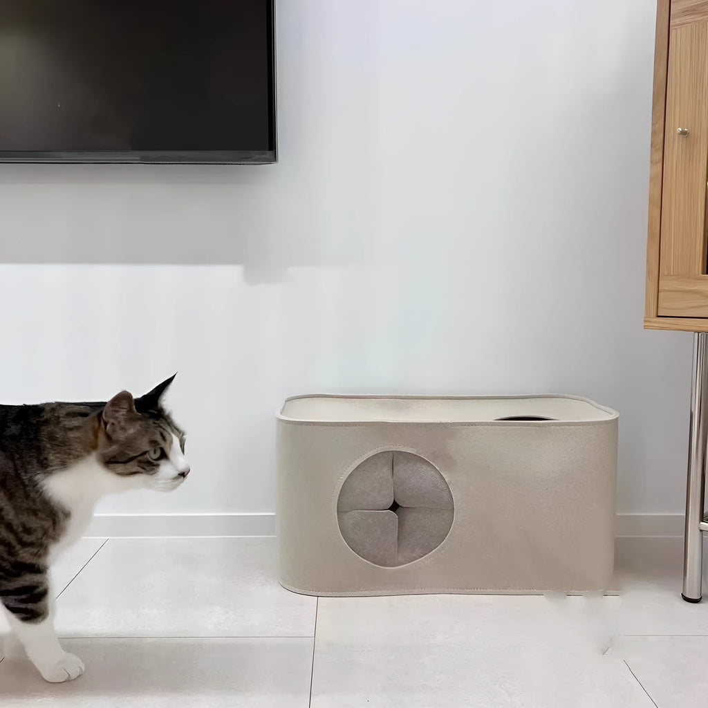 Grey foldable felt cat nest bed showing its size next to a cat.