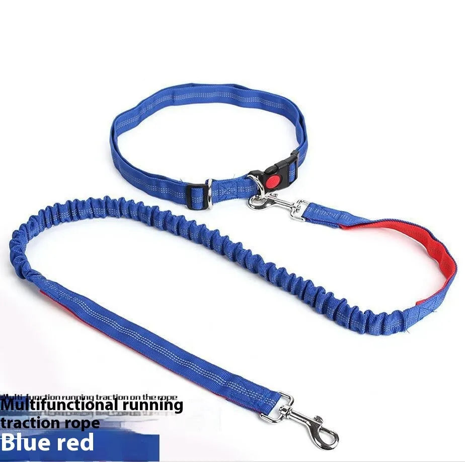 Elastic dog leash with reflective filament in two-tone colour combination, showing adjustable sling and standard clip attachment