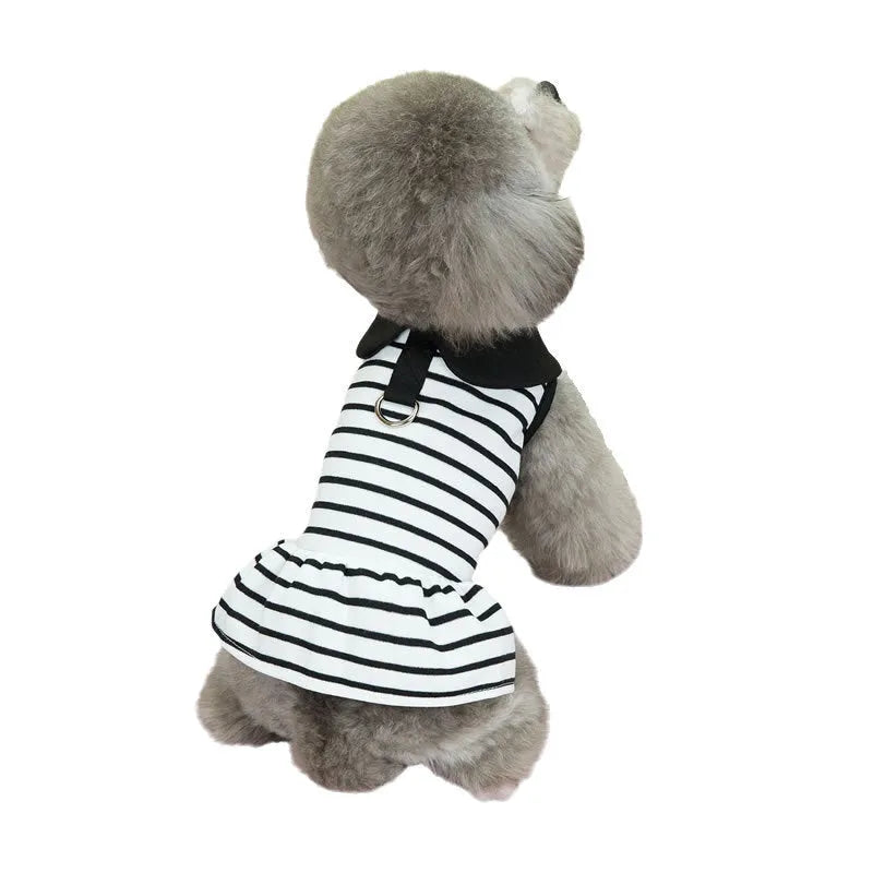 Pet wearing coordinated cotton T-shirt and skirt set with stripe pattern