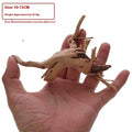 Natural wood Xiaoqi root aquarium decoration ornament for fish tank scenery.