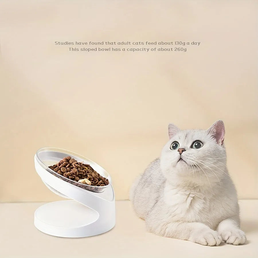Clear plastic elevated cat food bowl with tilt design on white surface
