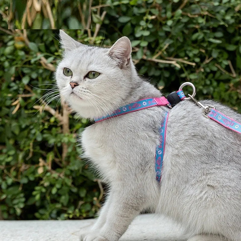 Pet cat bell chest strap harness with lead in blue, polyester jacquard mesh, adjustable size for small dogs