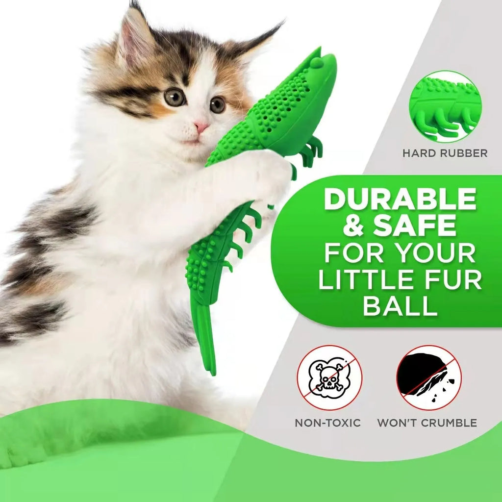 Blue hard rubber catnip toy for dental cleaning and interactive play