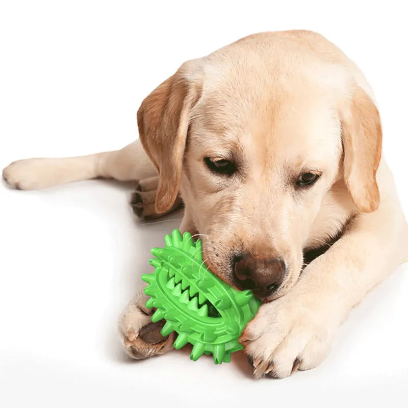 Green cactus-shaped dog toothbrush chew toy for medium to large breed dental cleaning