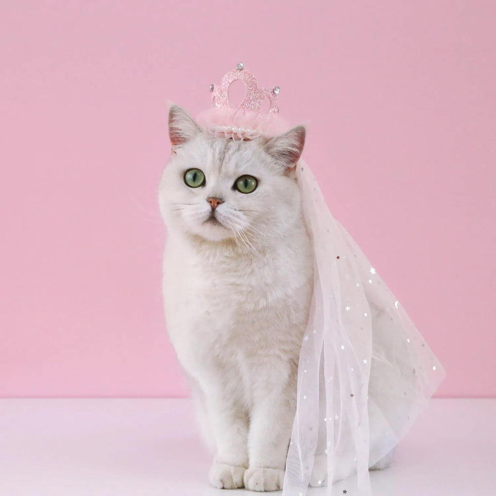 Pet wedding princess crown headdress for cats with beige and pink crown veil options