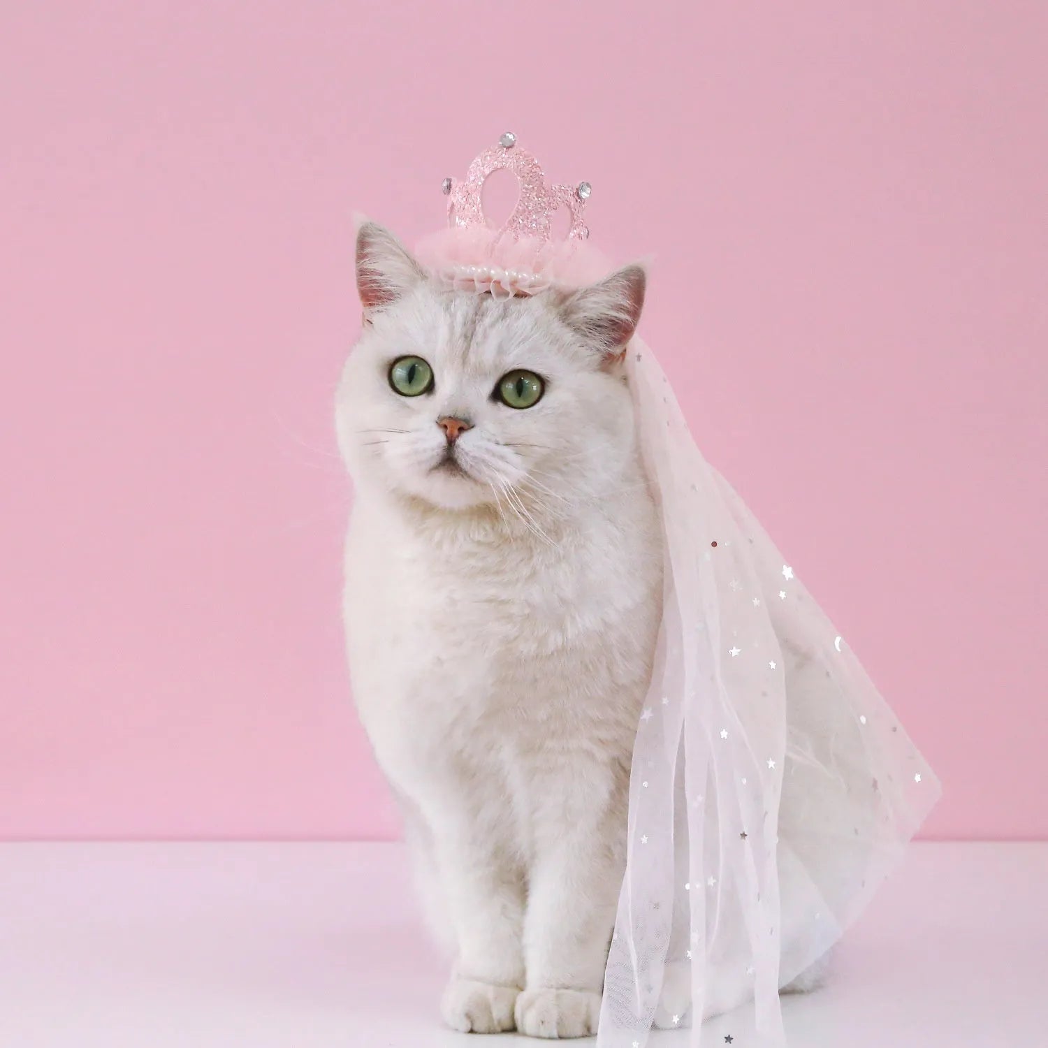 Pet wedding princess crown headdress for cats with beige and pink crown veil options