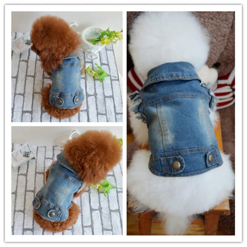 Blue denim dog vest with a retro scratch pattern on a small white dog.