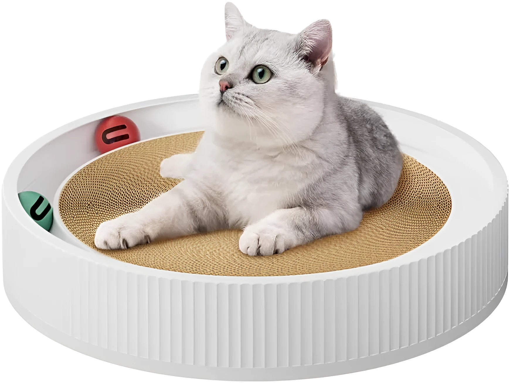 Large circular green cat scratching board with ball toys and replaceable cardboard core