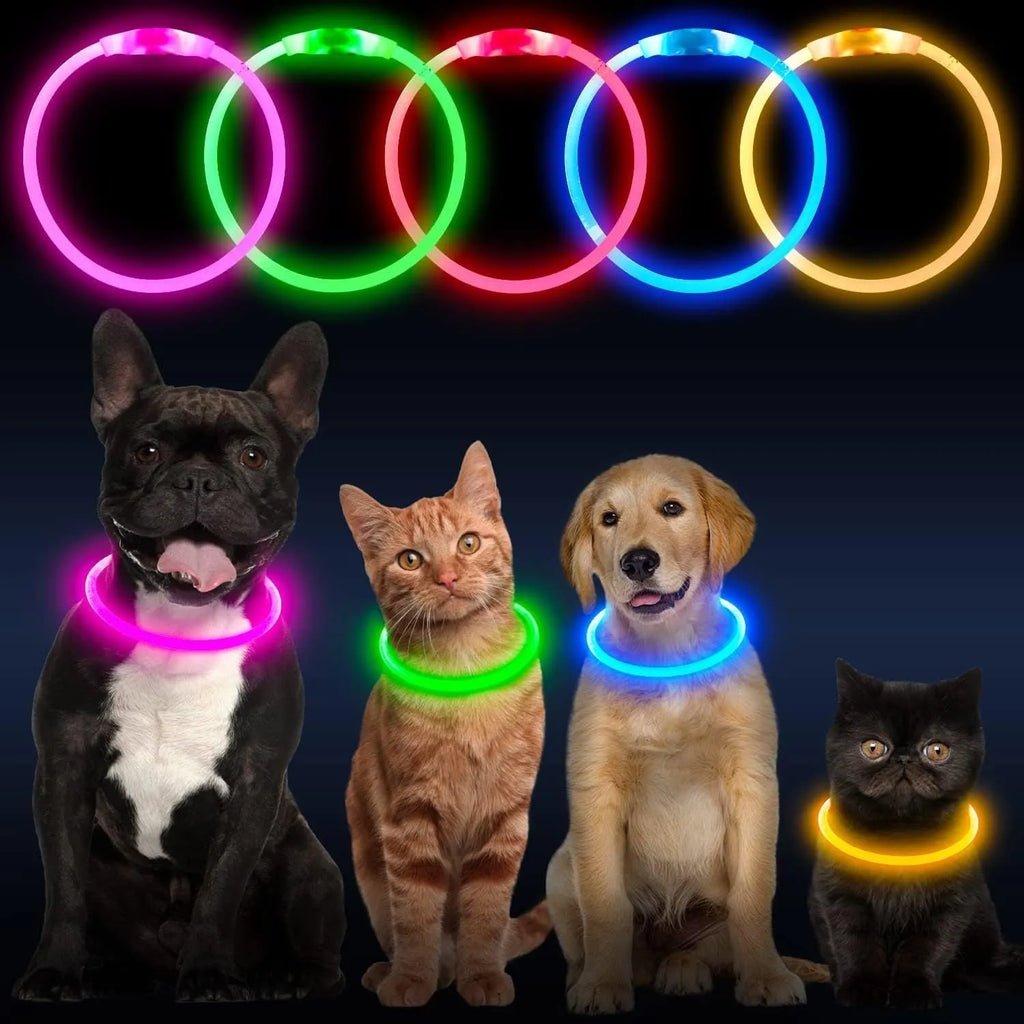Blue LED dog collar glowing with adjustable TPU band and USB charging port visible