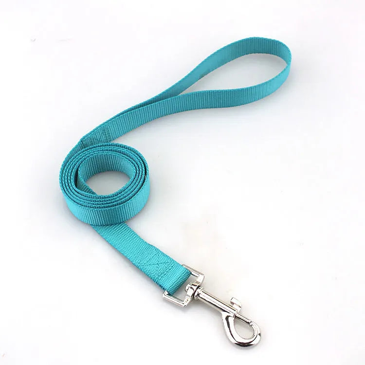Solid colour polyester dog lead with hand-holding rope design shown in blue colour option