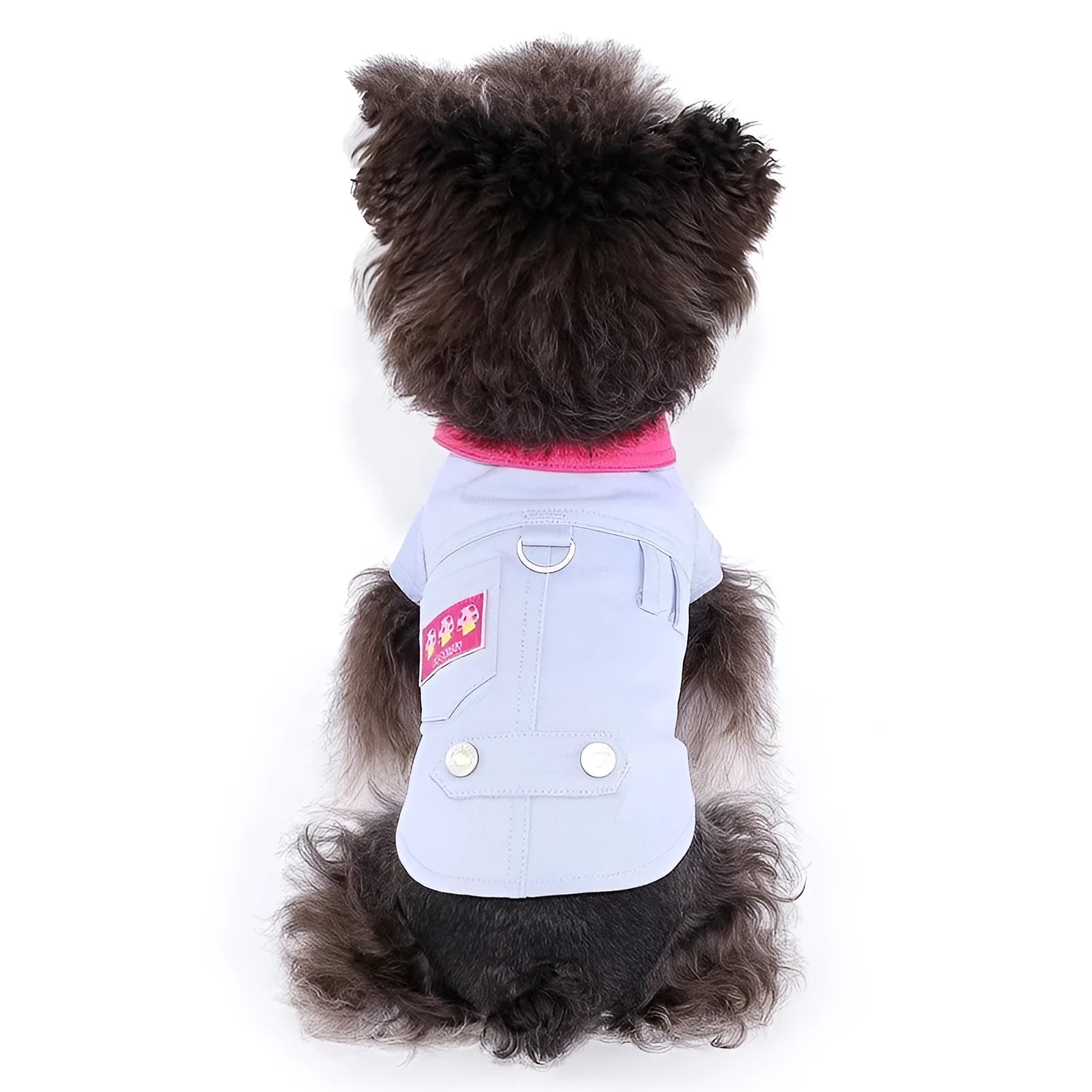 Blue and purple polyester dog vest with leash ring for small dogs