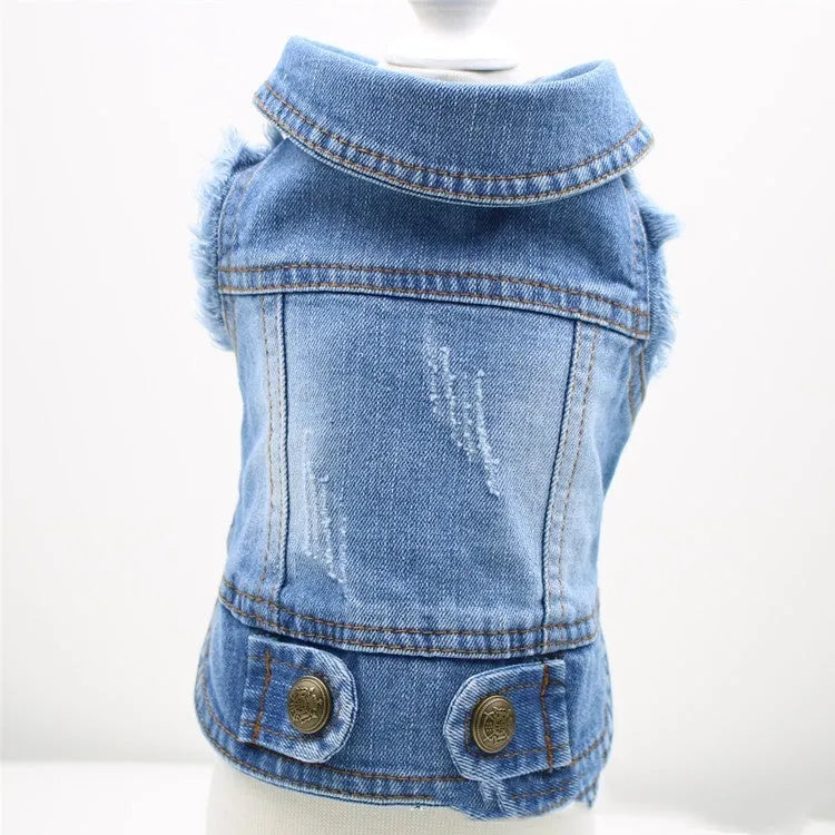 Blue denim dog vest with a retro scratch pattern on a small white dog.