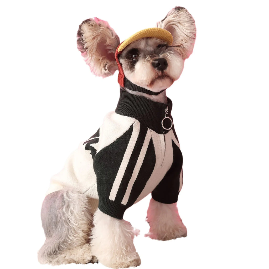 Red wool knit sports cardigan sweater worn by a dog, showing ribbed collar and front opening.