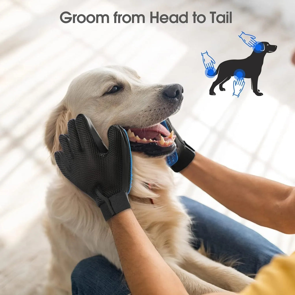 Blue silicone pet grooming gloves with multiple tips for brushing dogs, cats, or horses.