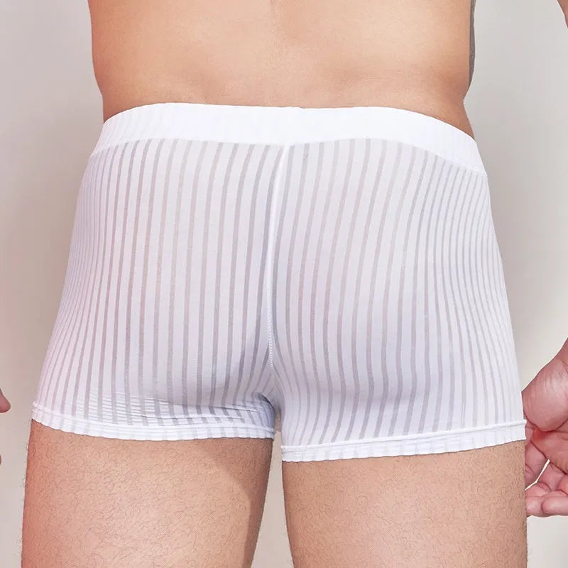 Men's striped thin transparent nylon underwear in black, white and dark grey colours