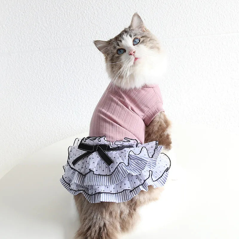 Polka dot lace cake dress pet clothes in taro purple on a small dog, princess style with lace detailing