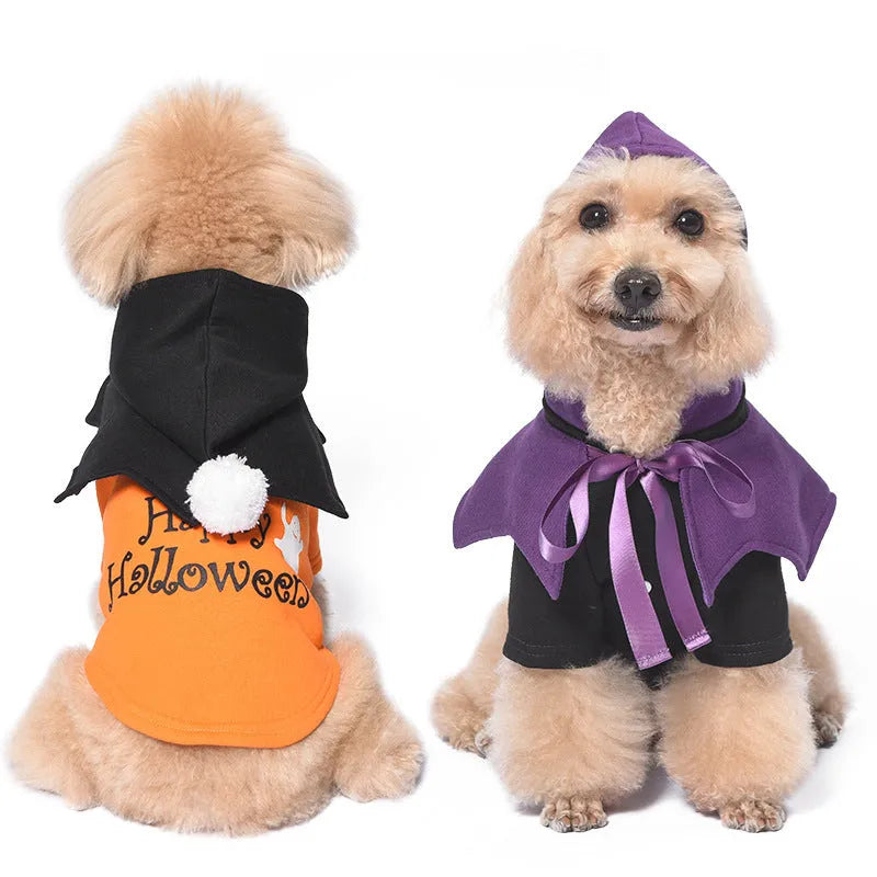 Black and orange Halloween pumpkin dog costume with sweater and shawl pieces