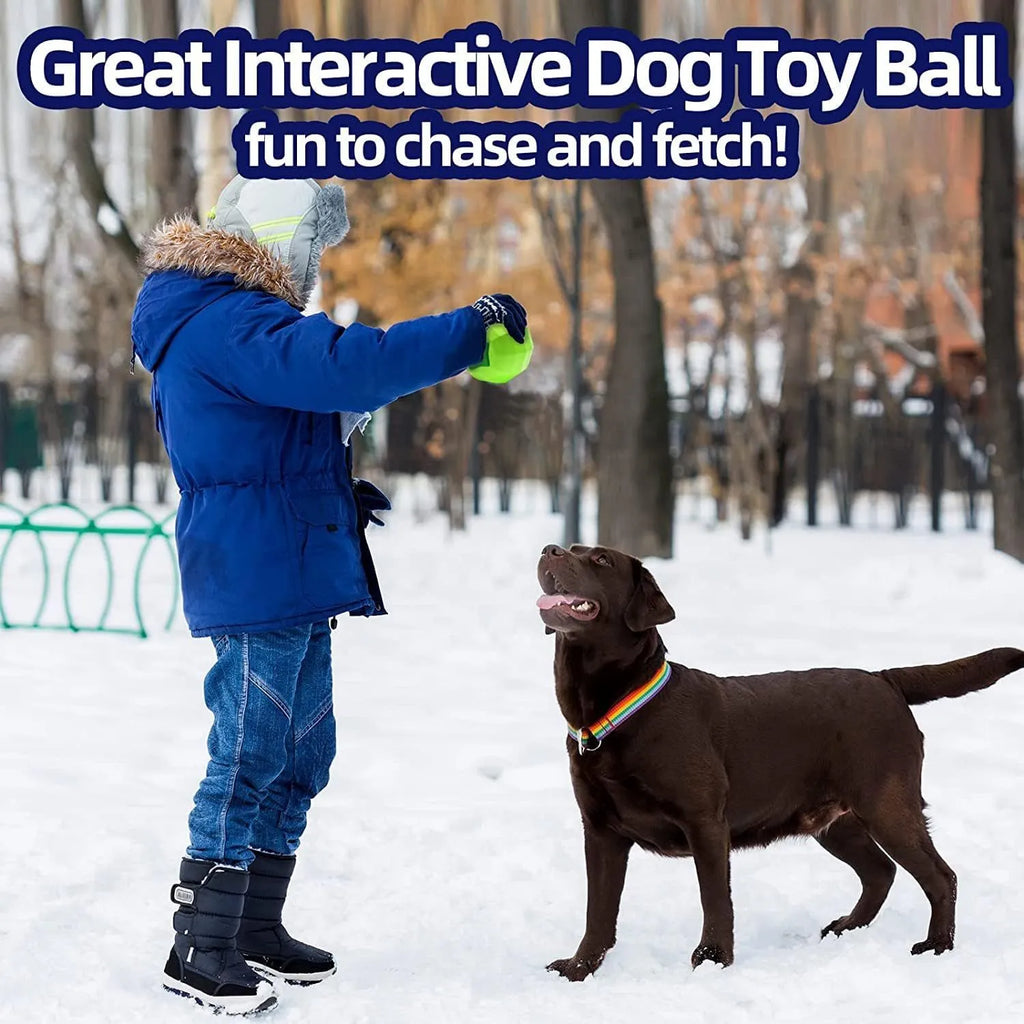 Green natural rubber dog squeaky toy for medium and large aggressive chewers