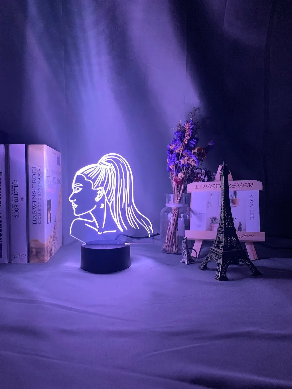 Acrylic 3D LED night light with European styling and colourful black base