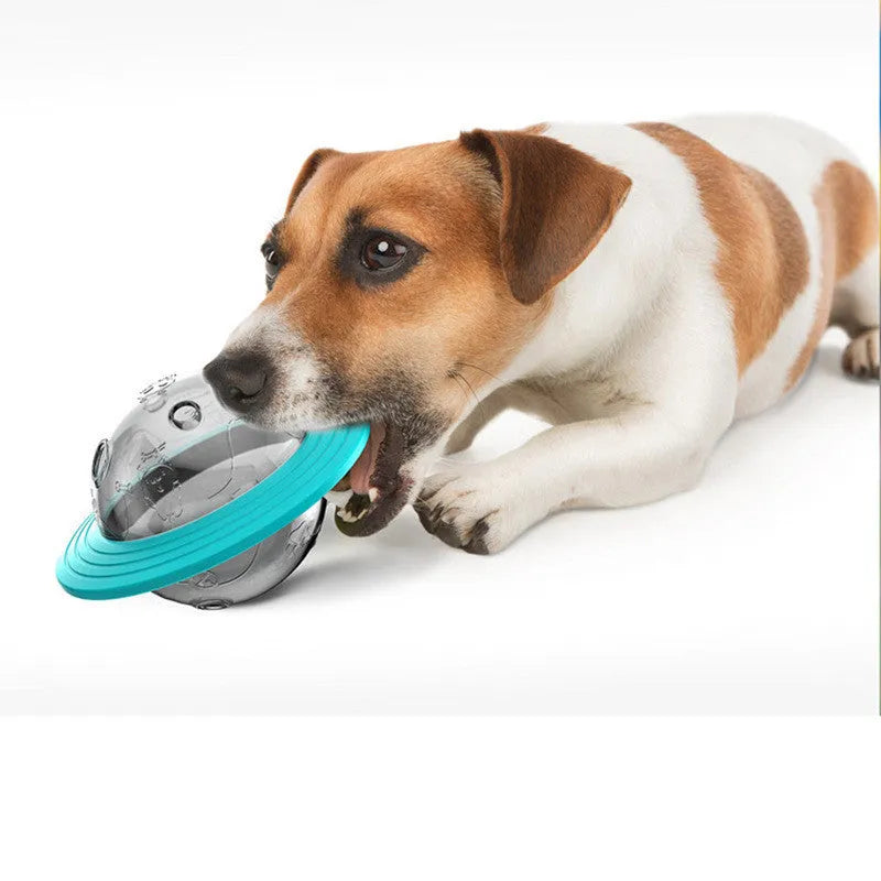Plastic missing food educational toy with leak-feeding hole for dogs and cats, Lake Blue and Yellow colours