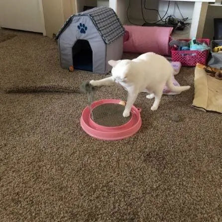 Blue interactive cat scratcher with ball track and replaceable scratching pad on 40cm diameter base