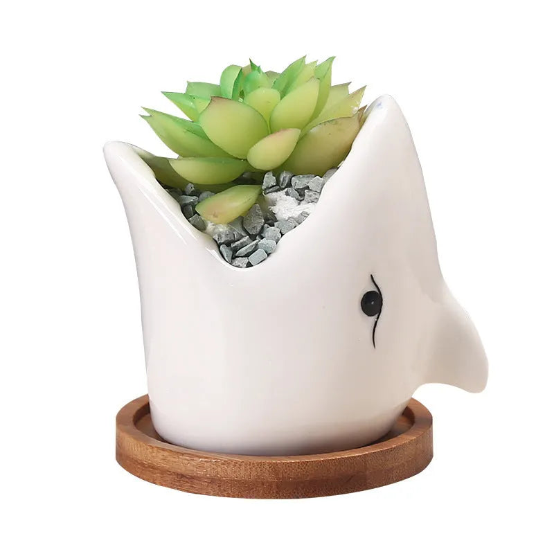 Creative cartoon ceramic succulent pot with drainage hole, blue colour, on a desk with a small succulent plant.