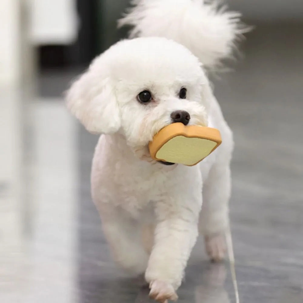 Yellow and green cartoon bread shaped latex dog squeaky chew toy on a white background.