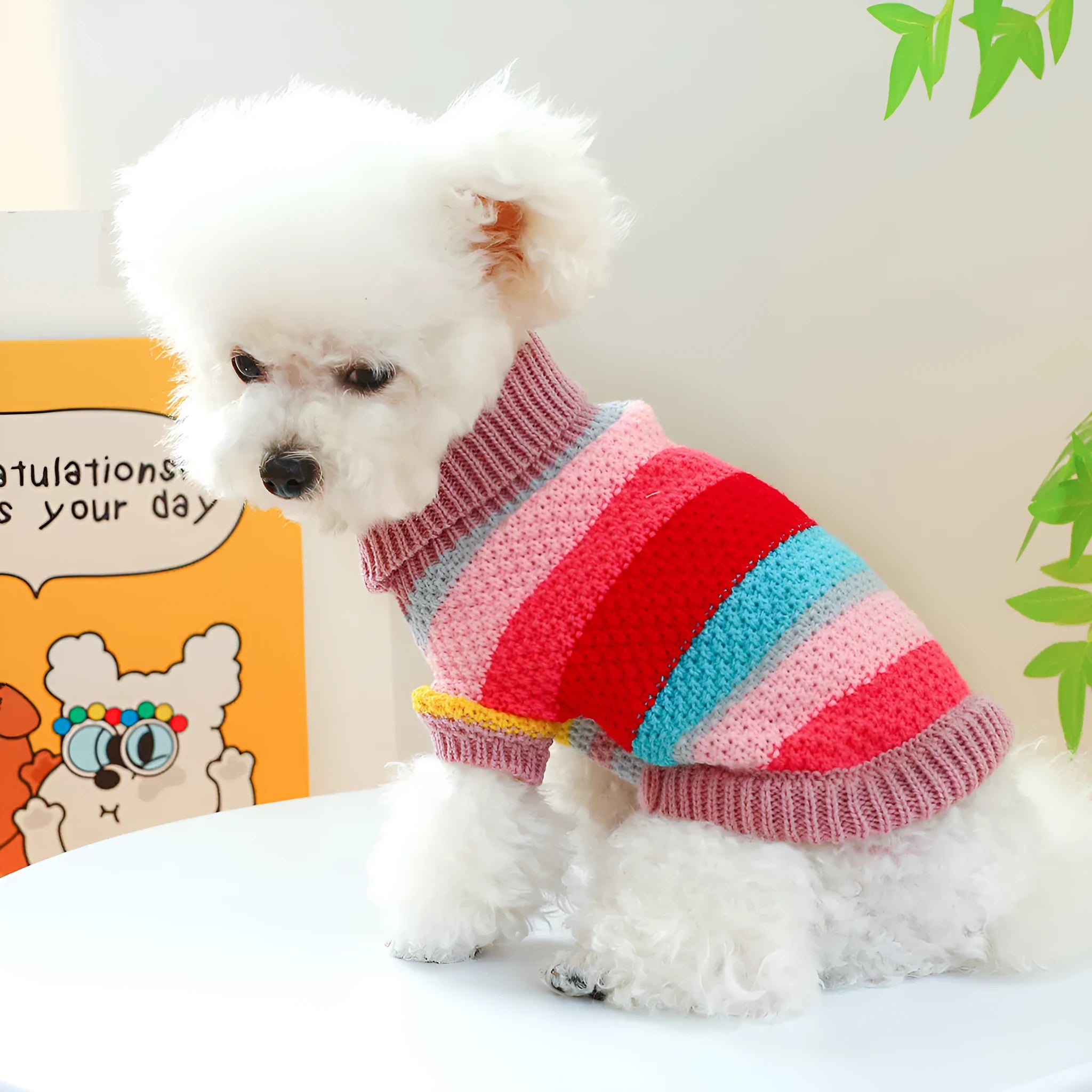 Pet Ring colorful stripes acrylic sweater for dogs, five sizes XS to XL, front view