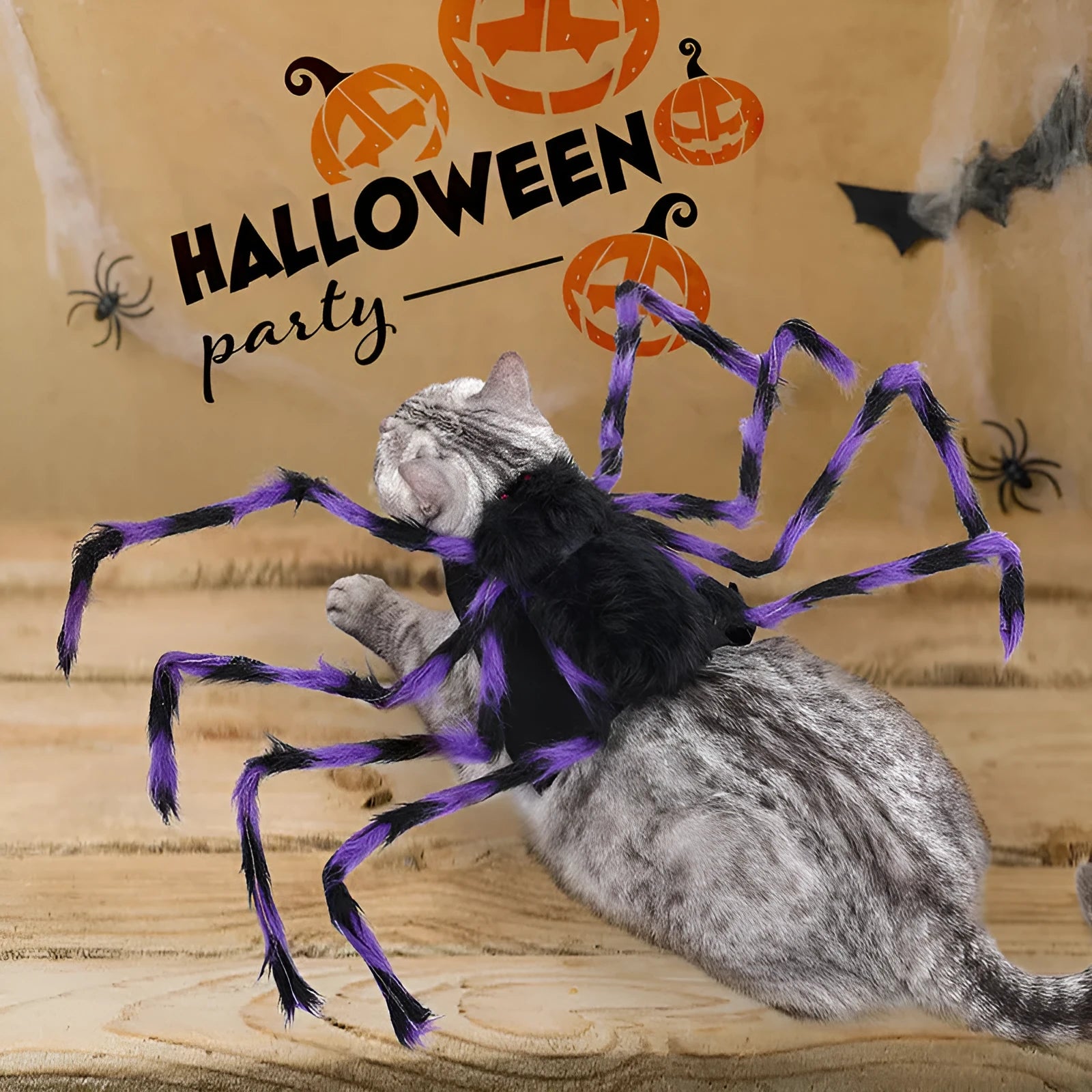 Halloween pet costume with big spider design for dogs and cats in grey, brown, black, purple
