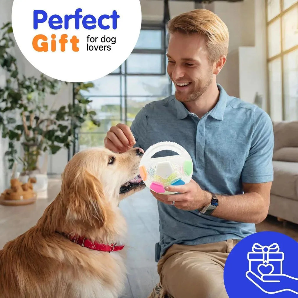 Football tennis ball shaped dog toy in black with squeaker for fetch and teething relief