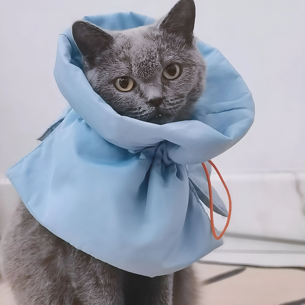 Soft blue adjustable cat recovery collar with elastic buckle on a flat surface