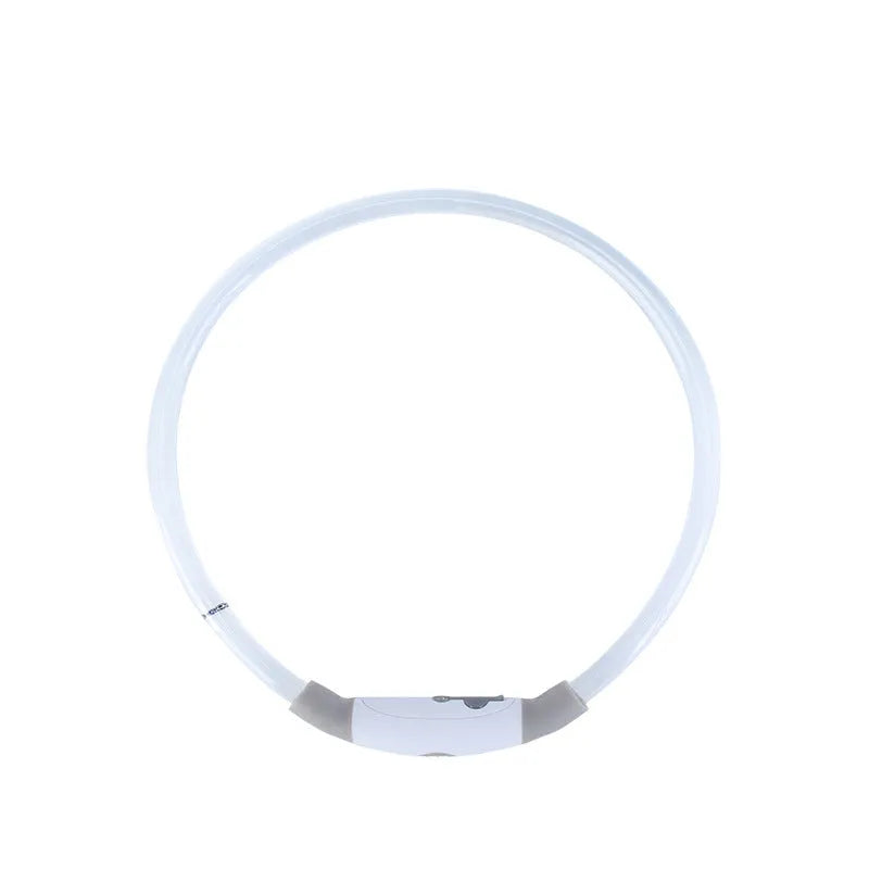 Blue LED dog collar glowing with adjustable TPU band and USB charging port visible