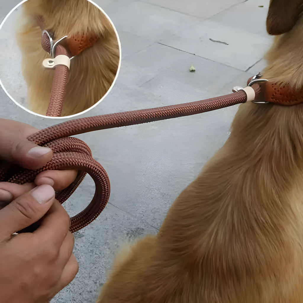 Brown nylon P chain dog leash with hand holding rope section measuring 2.1 metres