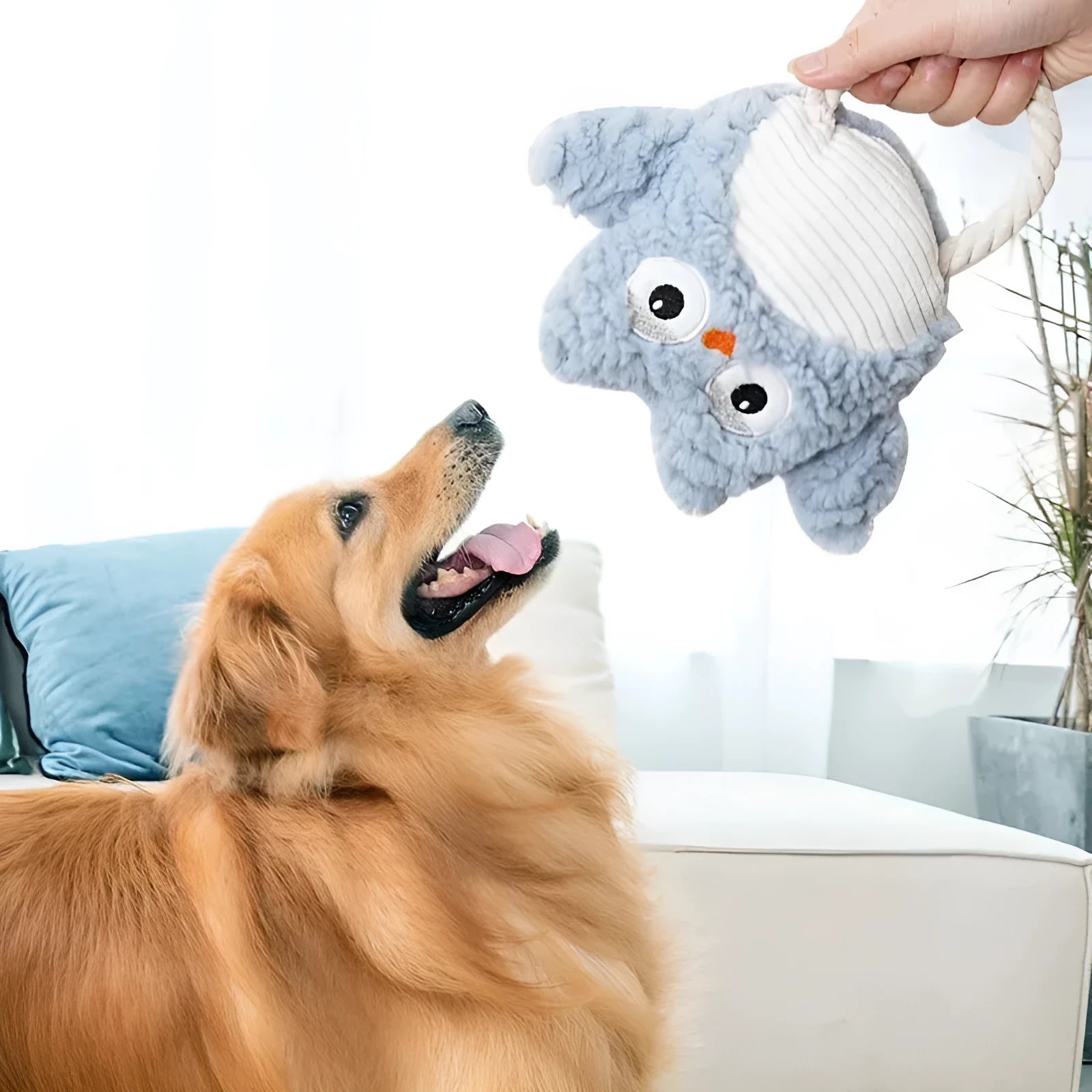 Plush caterpillar fabric squeaky dog toy in animal shapes for small and large dogs