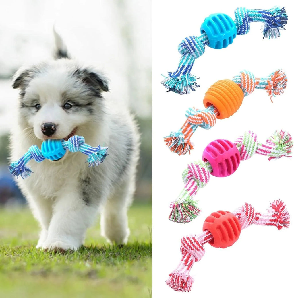 Blue molar-shaped dog chew toy with rope attachments for dental care and chewing