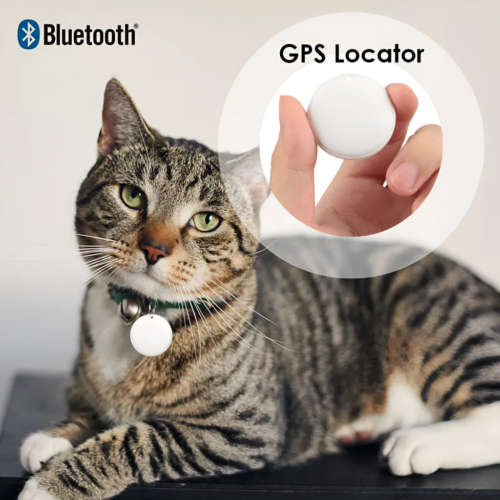 White GPS tracker device with hanging rope for attaching to keys or pet collars