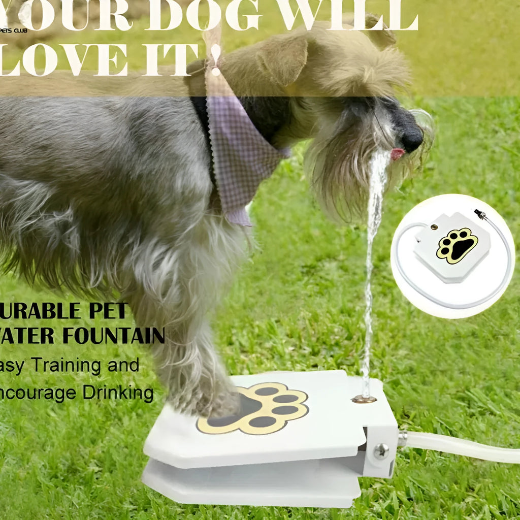 Household pet intelligent automatic water dispenser in stainless steel for outdoor garden use with paw activation