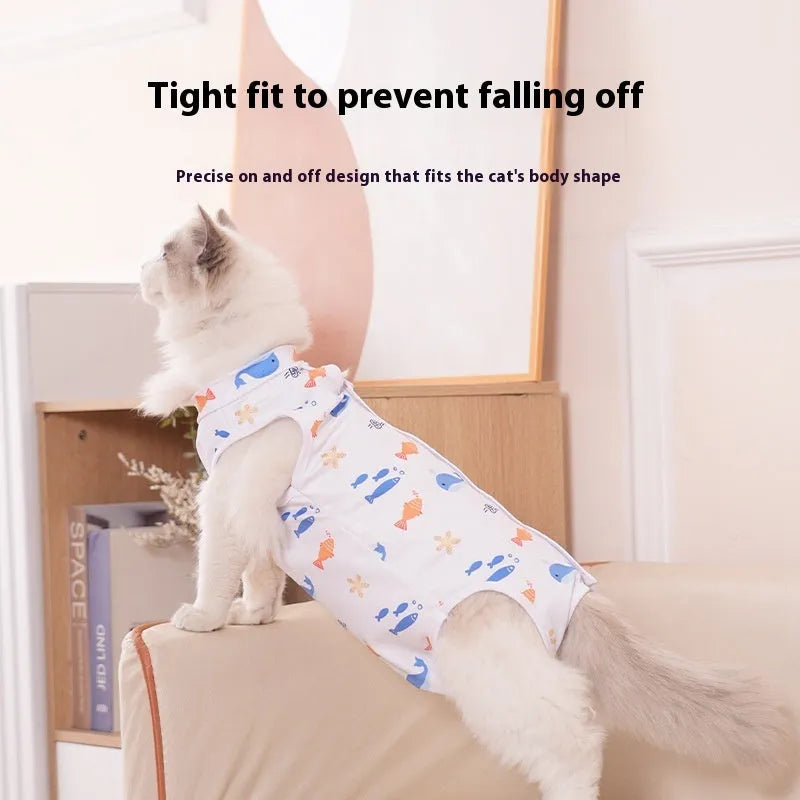 Cat wearing a patterned polyester recovery suit with Velcro fastenings after sterilisation surgery.